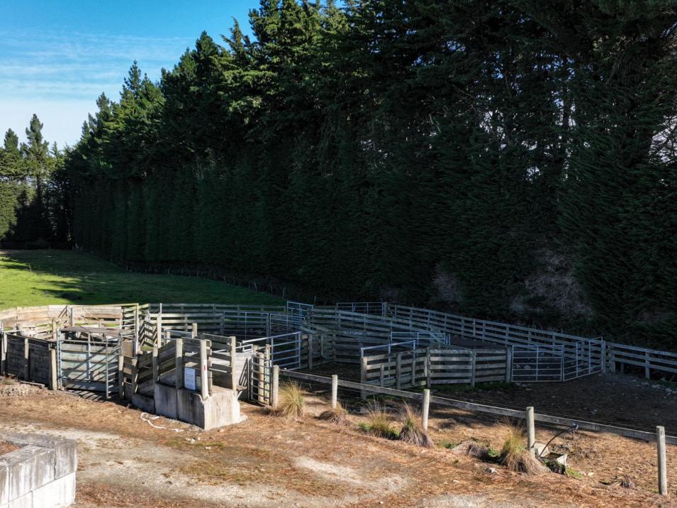 55 McGill Road, Te Tipua