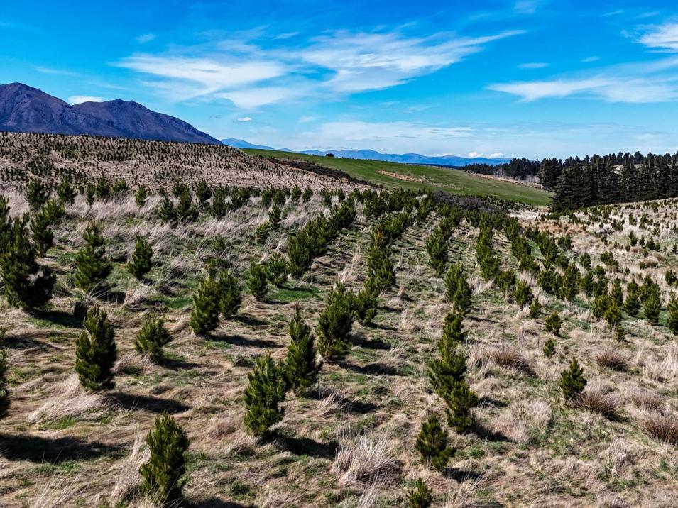 1400 Chewings Road, Mossburn
