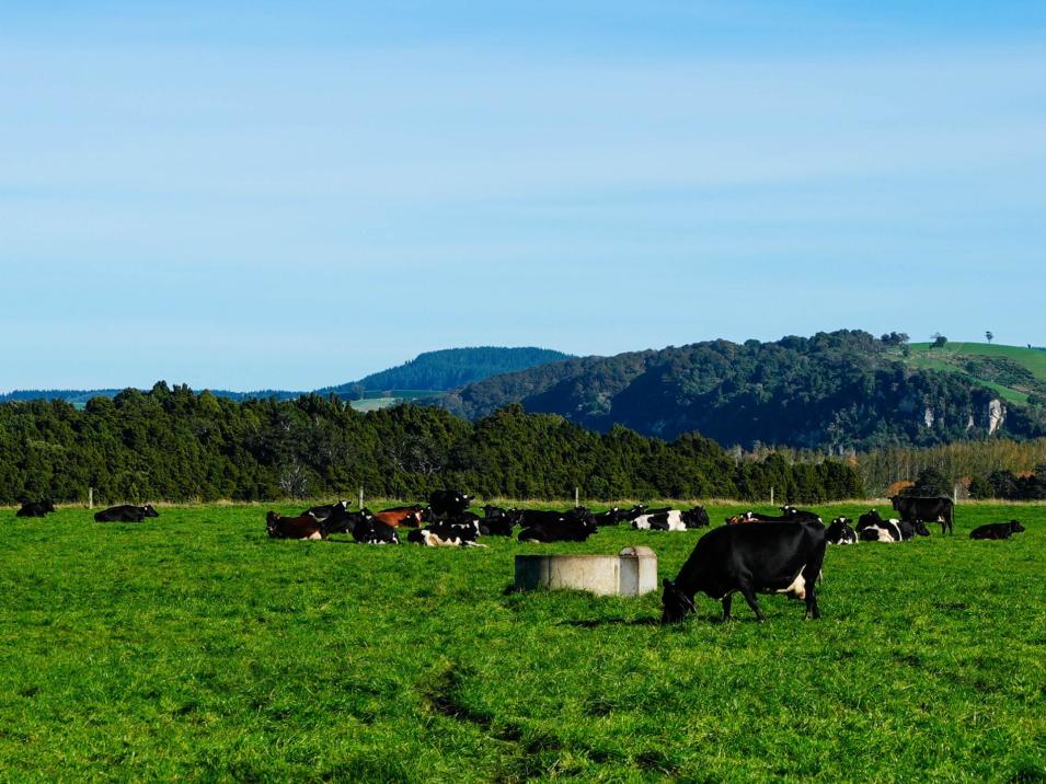 2803 Ohai Clifden Highway, Orawia