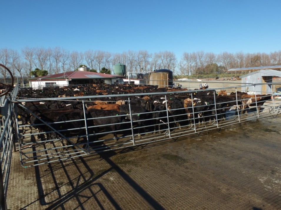 1402 Limehills Browns Road, Browns