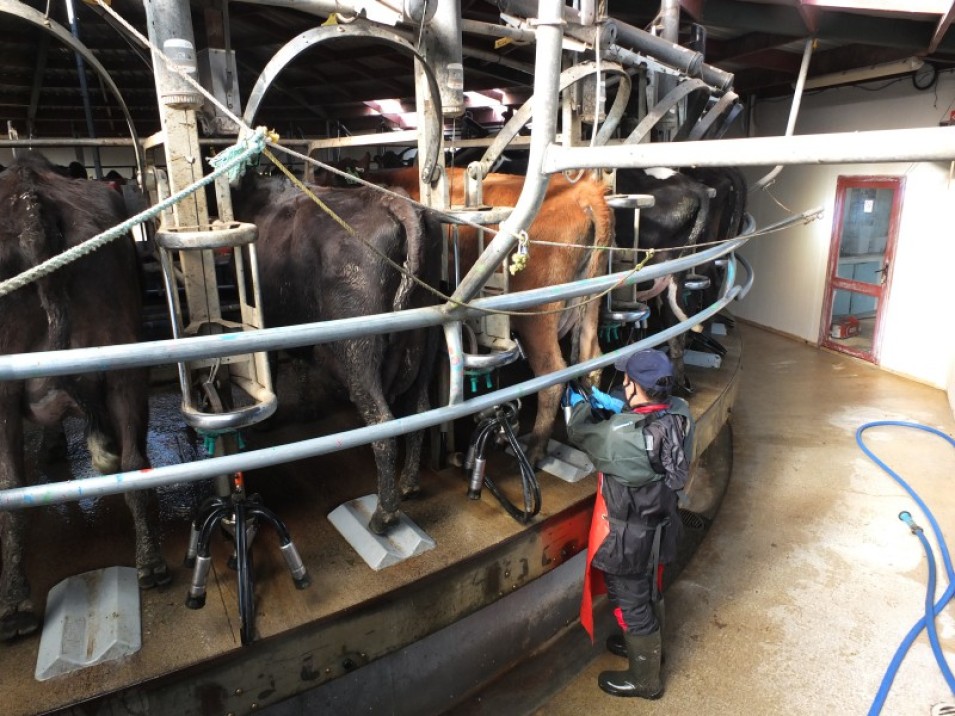 1402 Limehills Browns Road, Browns