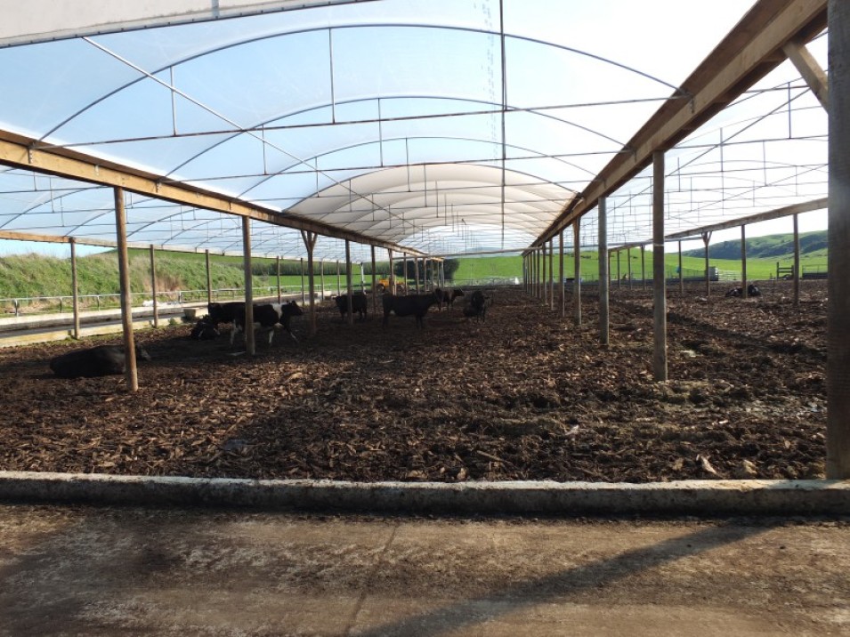 1402 Limehills Browns Road, Browns