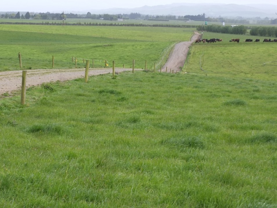 1402 Limehills Browns Road, Browns