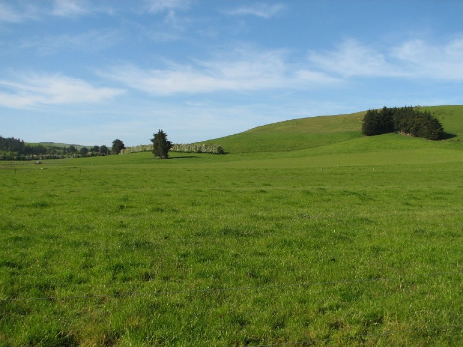 1402 Limehills Browns Road, Browns