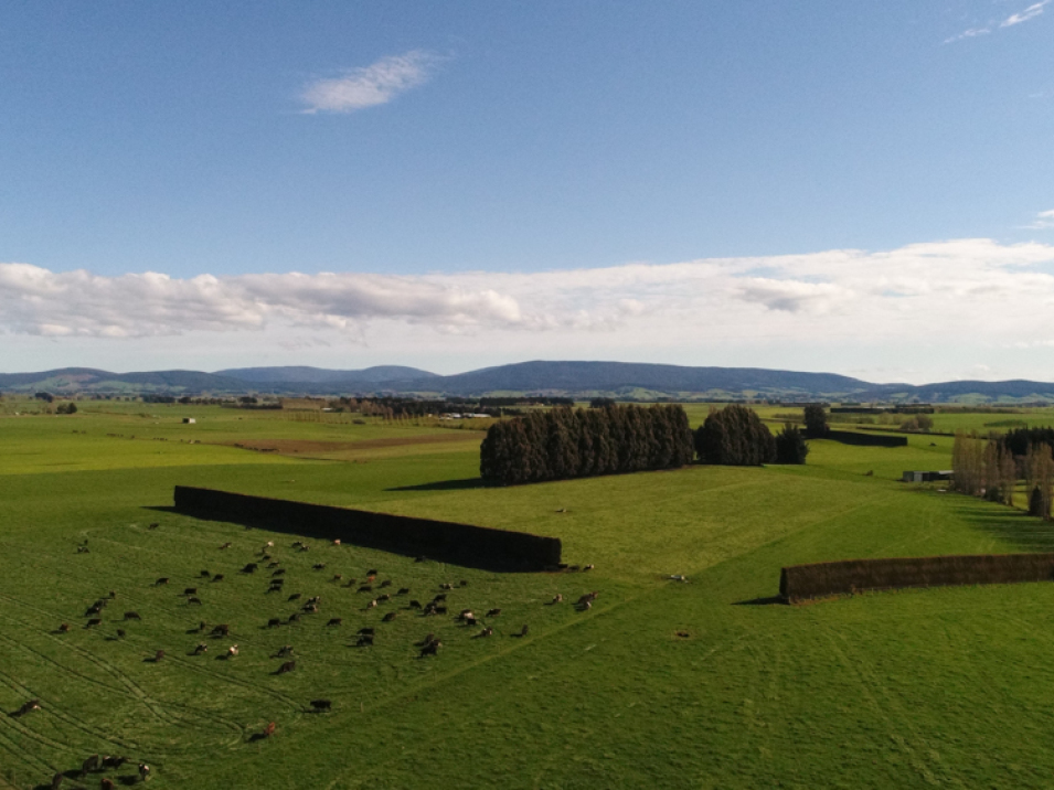 608 Hundred Line Road West, Aparima