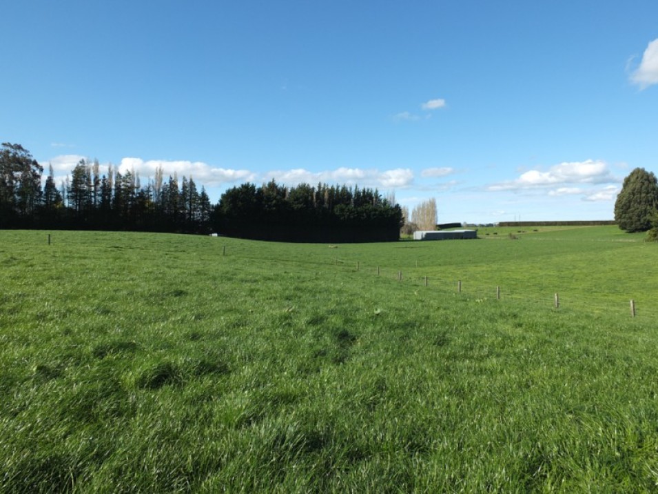 608 Hundred Line Road West, Aparima