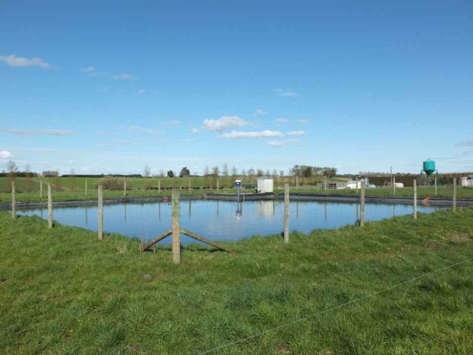 608 Hundred Line Road West, Aparima