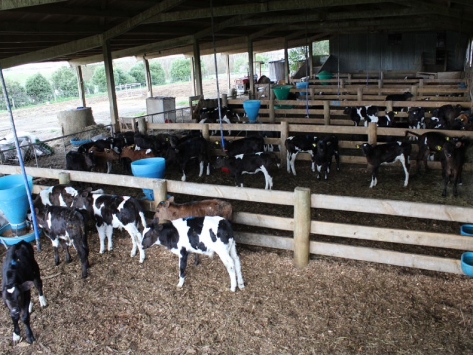 608 Hundred Line Road West, Aparima