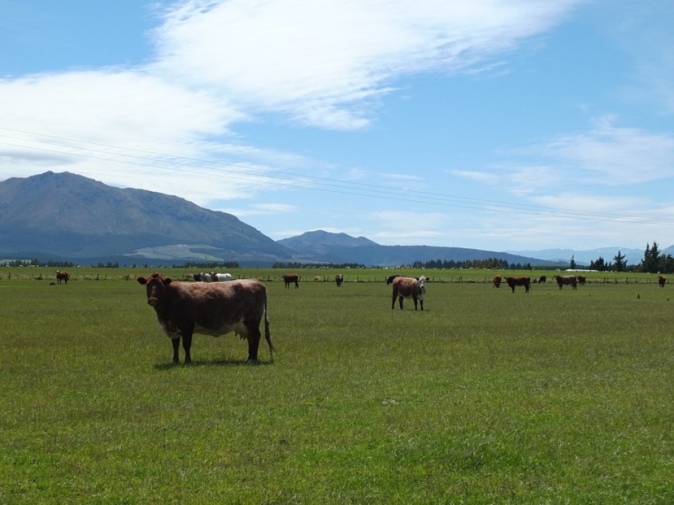 558 Chewings Road, Mossburn