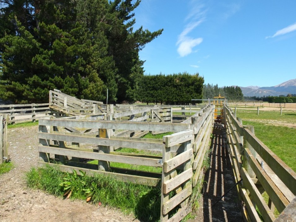 558 Chewings Road, Mossburn