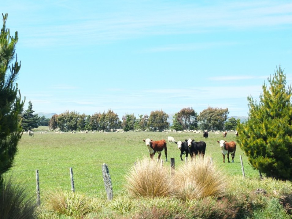 558 Chewings Road, Mossburn