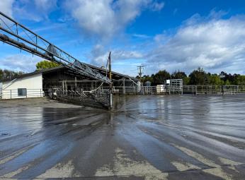 473 Clifden Gorge Road