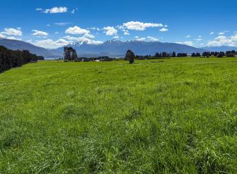 288 Te Anau-Mossburn Highway