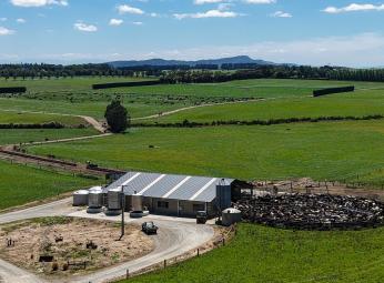 251 Rakahouka Hedgehope Road