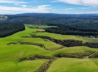 759 Waitahuna Gully Road