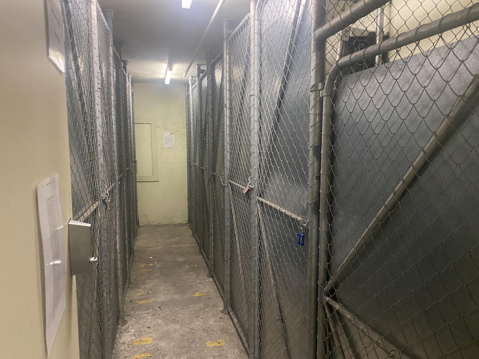 Unit 3D, 51 Webb Street, Mount Cook