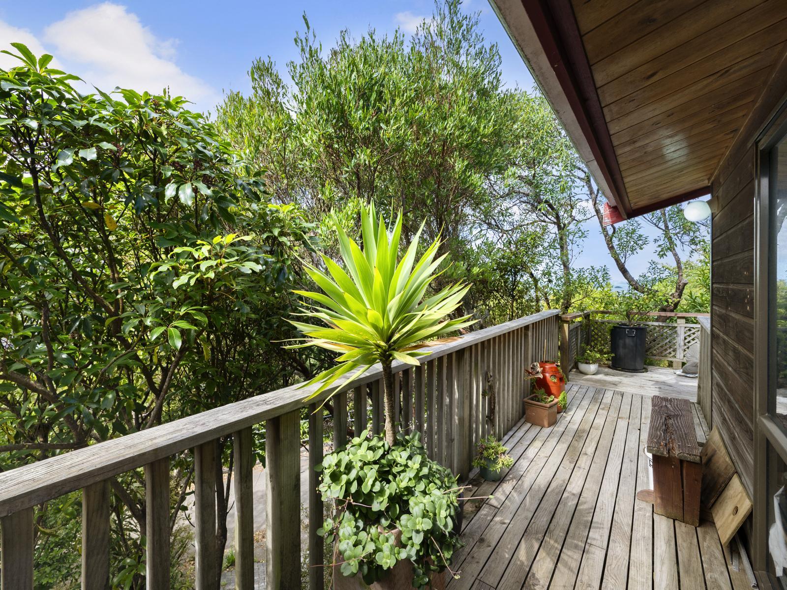 6A Jacaranda Grove, Maungaraki