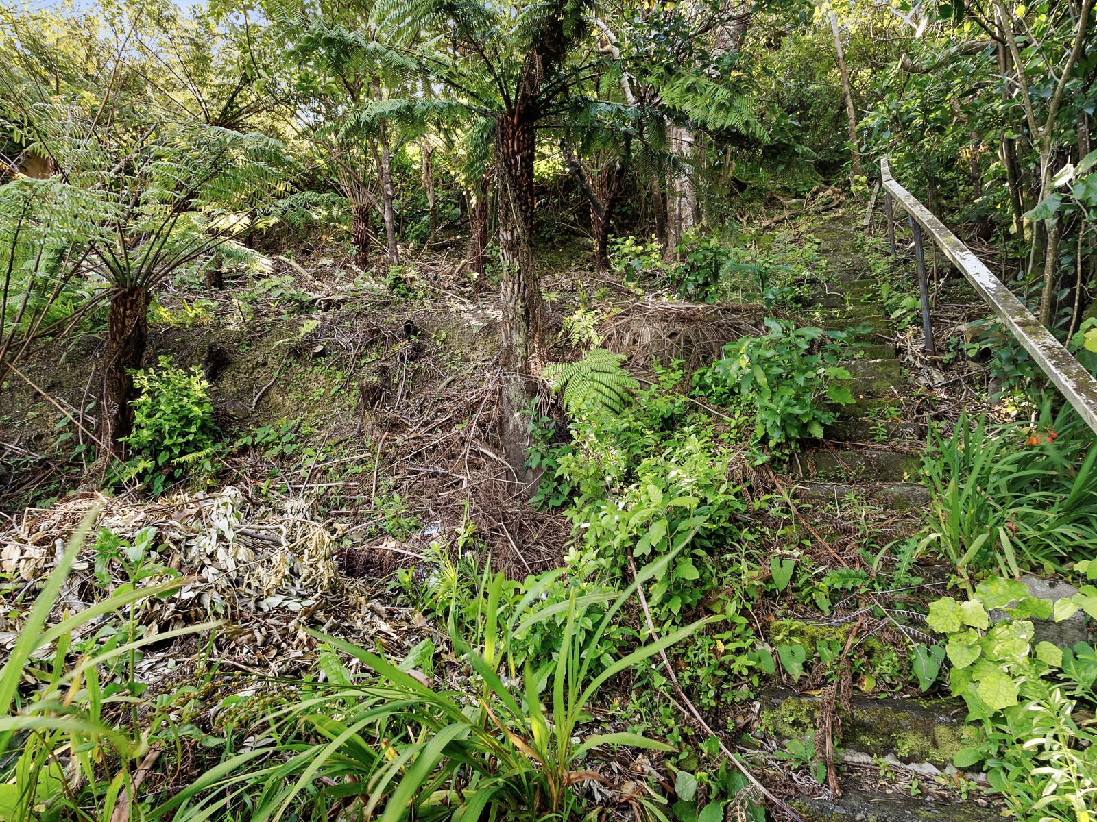 7 Westhill Road, Point Howard