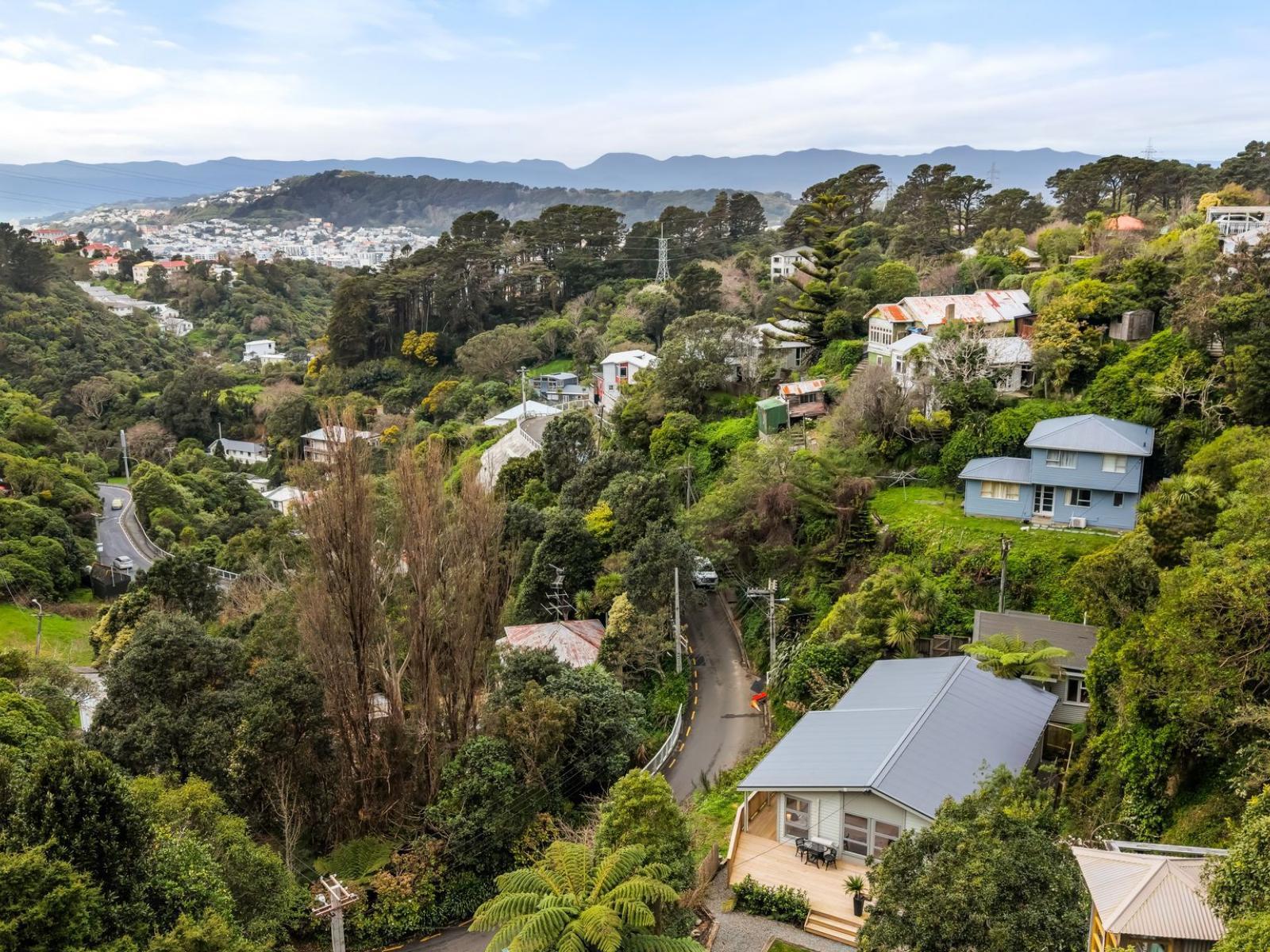 8 Mount Pleasant Road, Aro Valley