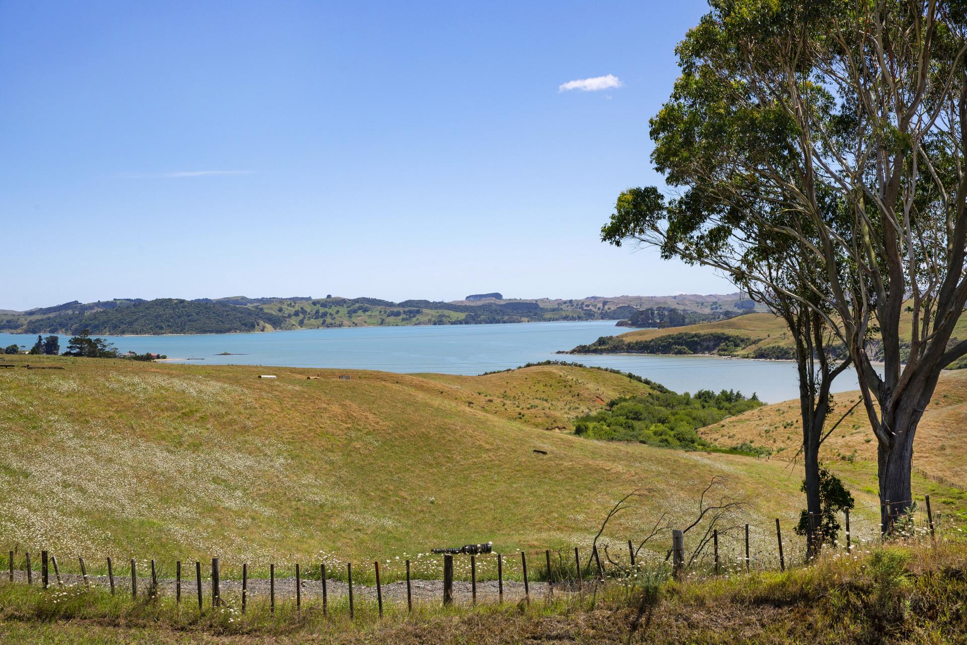 Photo 4 of 369-375 Okete Road, Raglan, Raglan