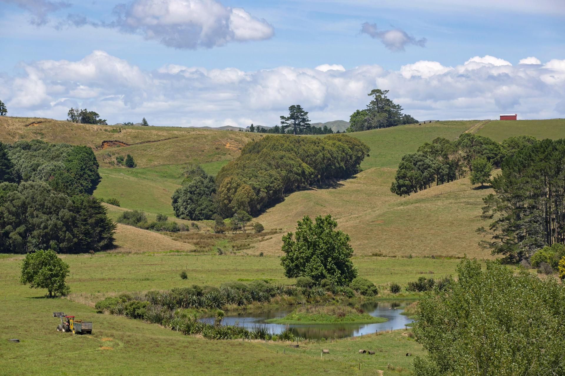 Photo 5 of 369-375 Okete Road, Raglan, Raglan