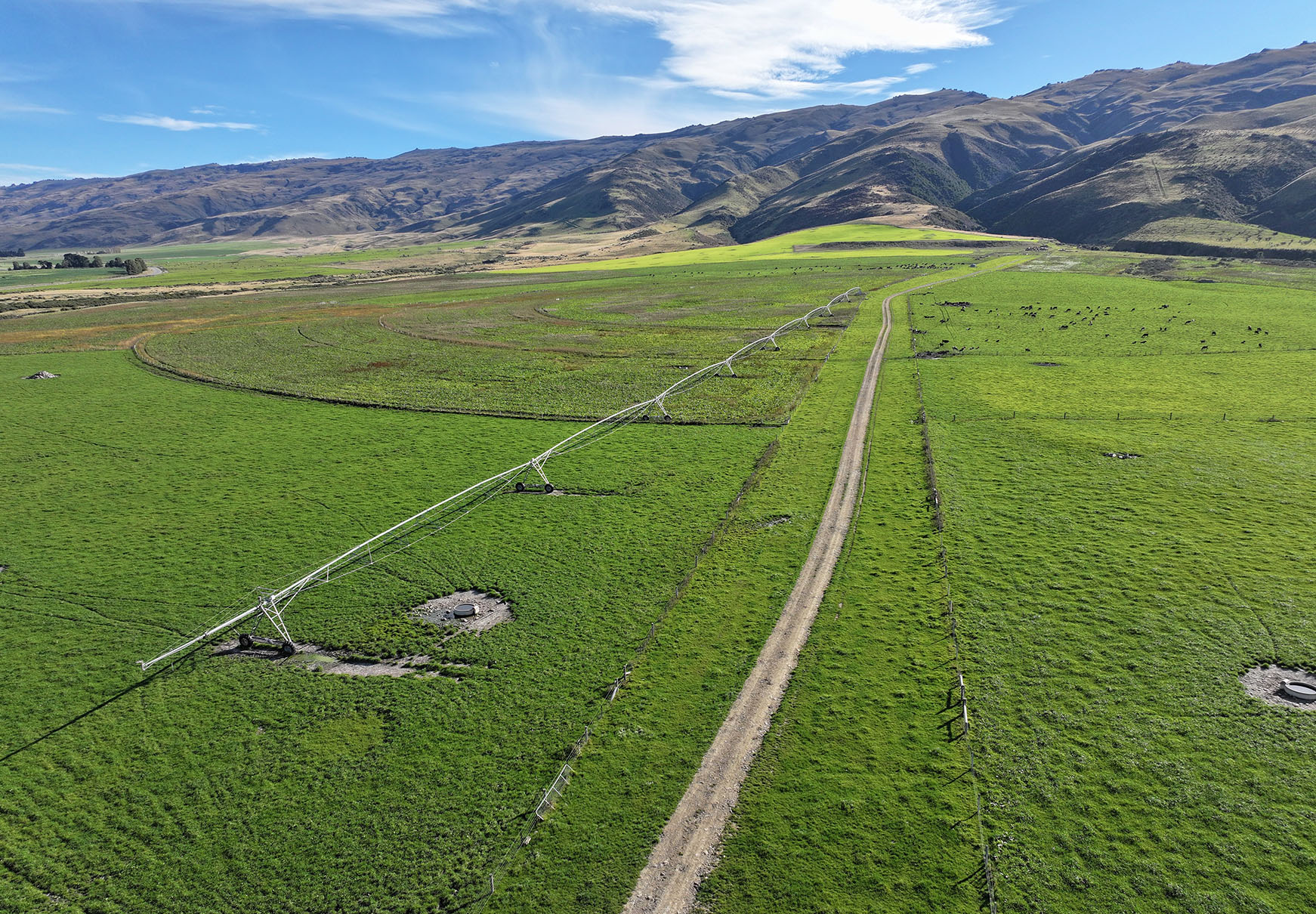 Winter25_Blog 8_Taieri Lake Station