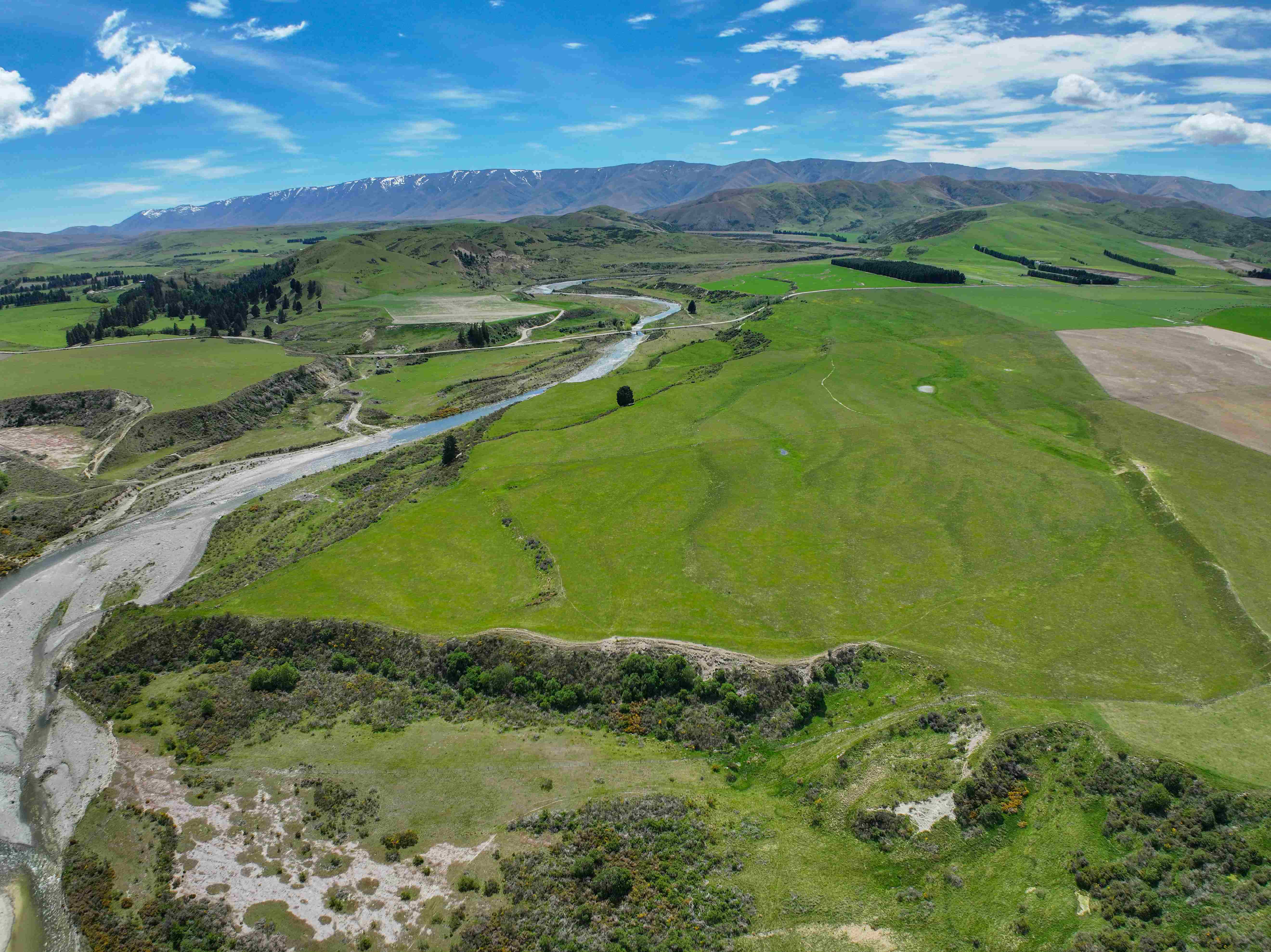 26_NZ Pastures_Hills Creek