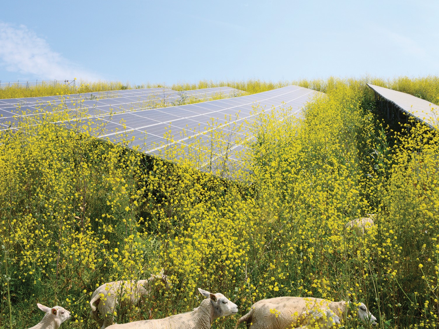 PE_AUT26_Land Use_Solar