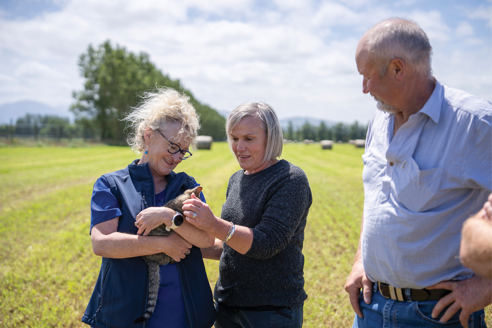 PE_AUT26_Te Anau Auction_Cat