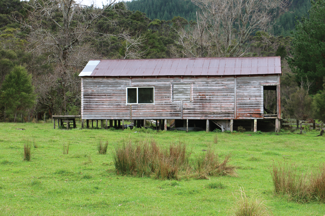 PE_AUT26_Ruatoria_Hut