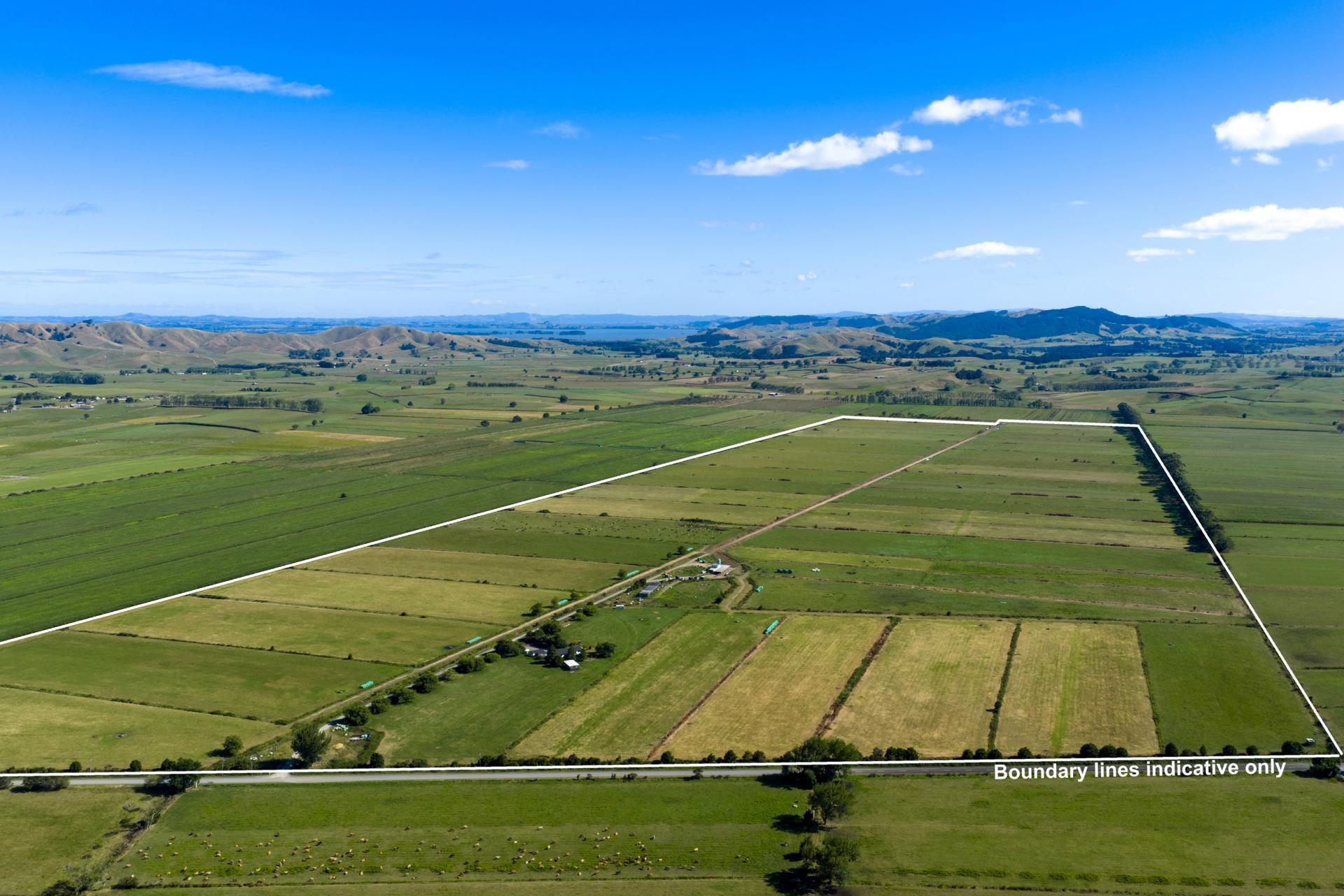 Scale, Simplicity, Solid Production