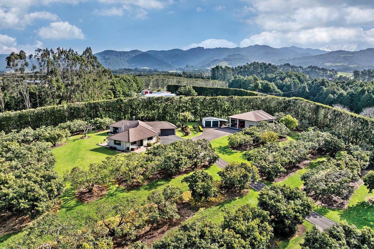 LRC_AUT26_Avocado Orchard_Aerial