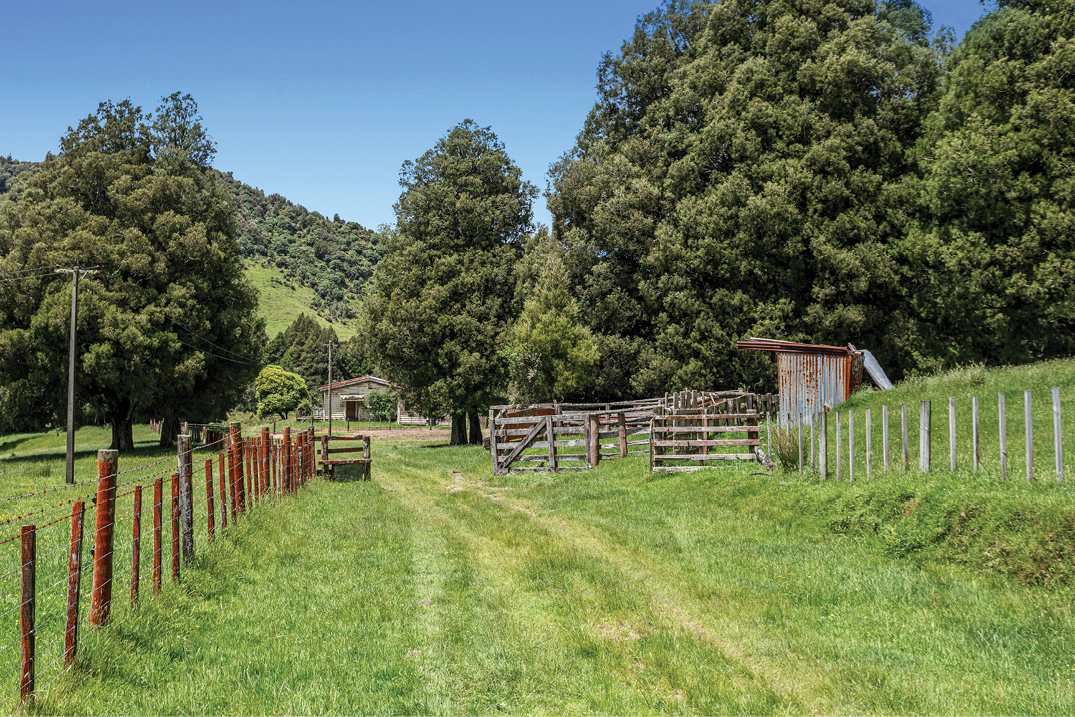 PE_SPR26_Hunters_Farm Lane
