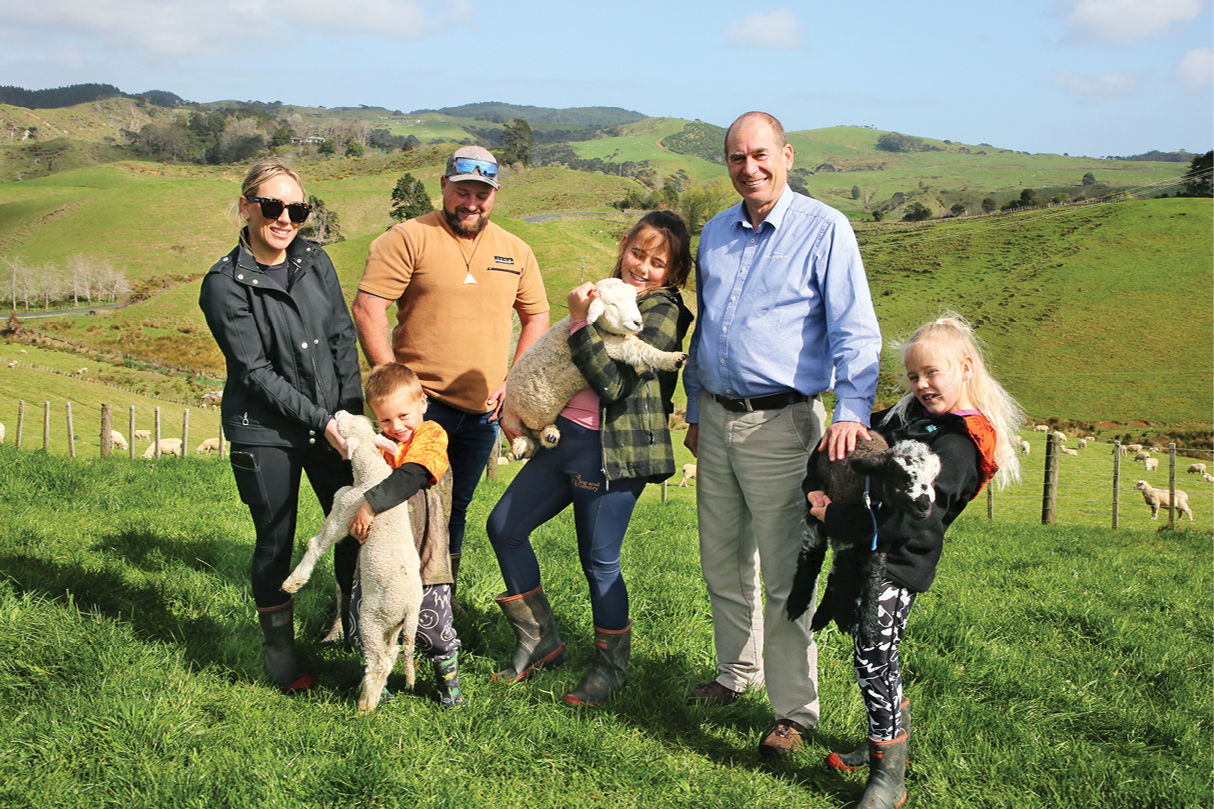 PE_SPR26_Te Akau_Lambs