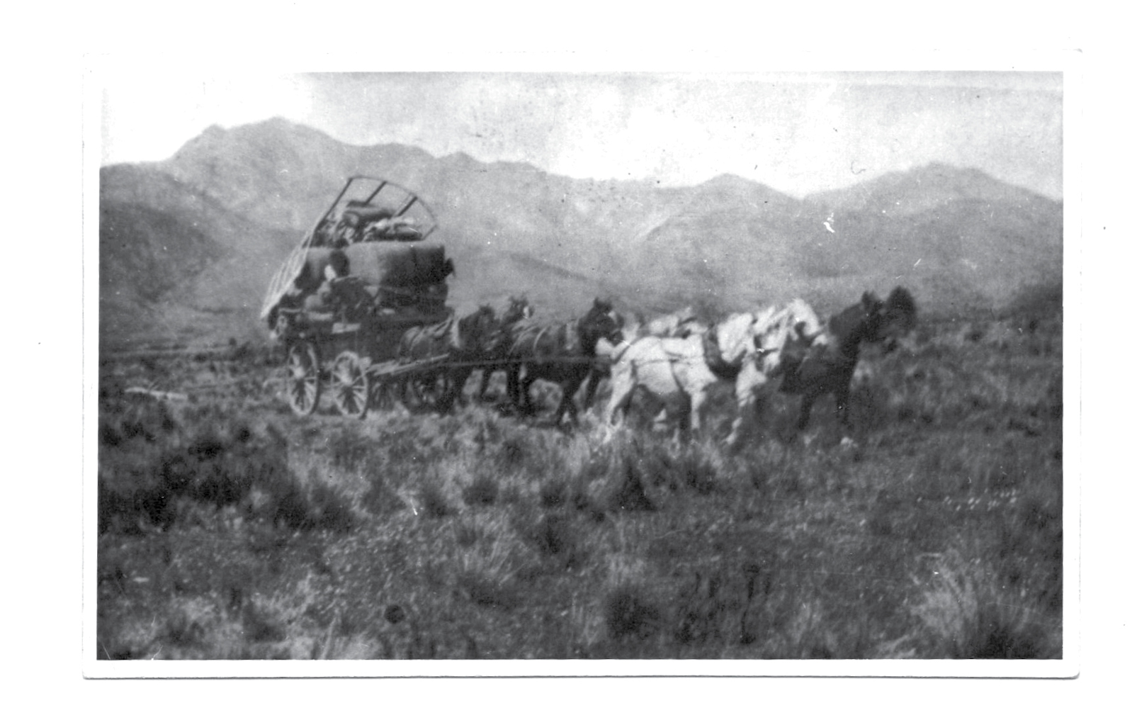 PE_SPR26_Whare Creek_Historic