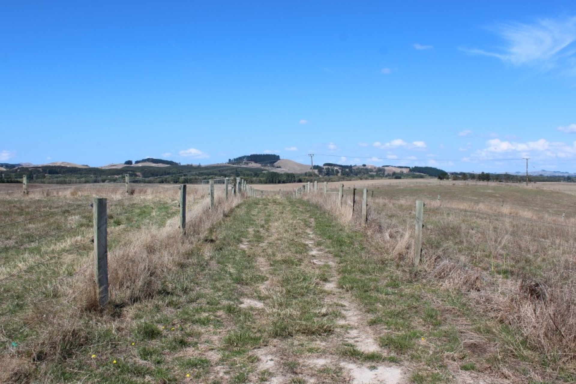 Waipawa