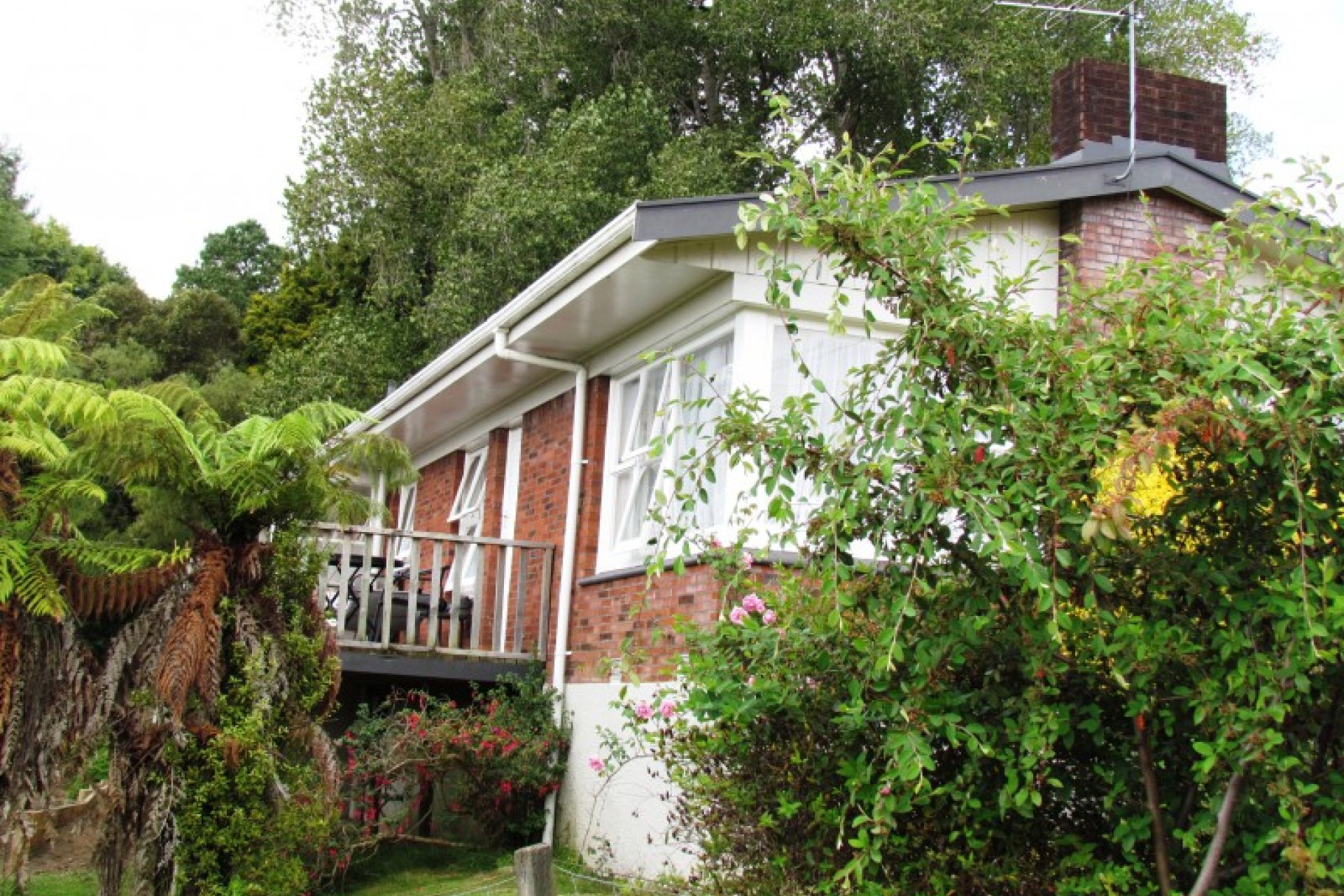 Te Kuiti PGG Wrightson Real Estate