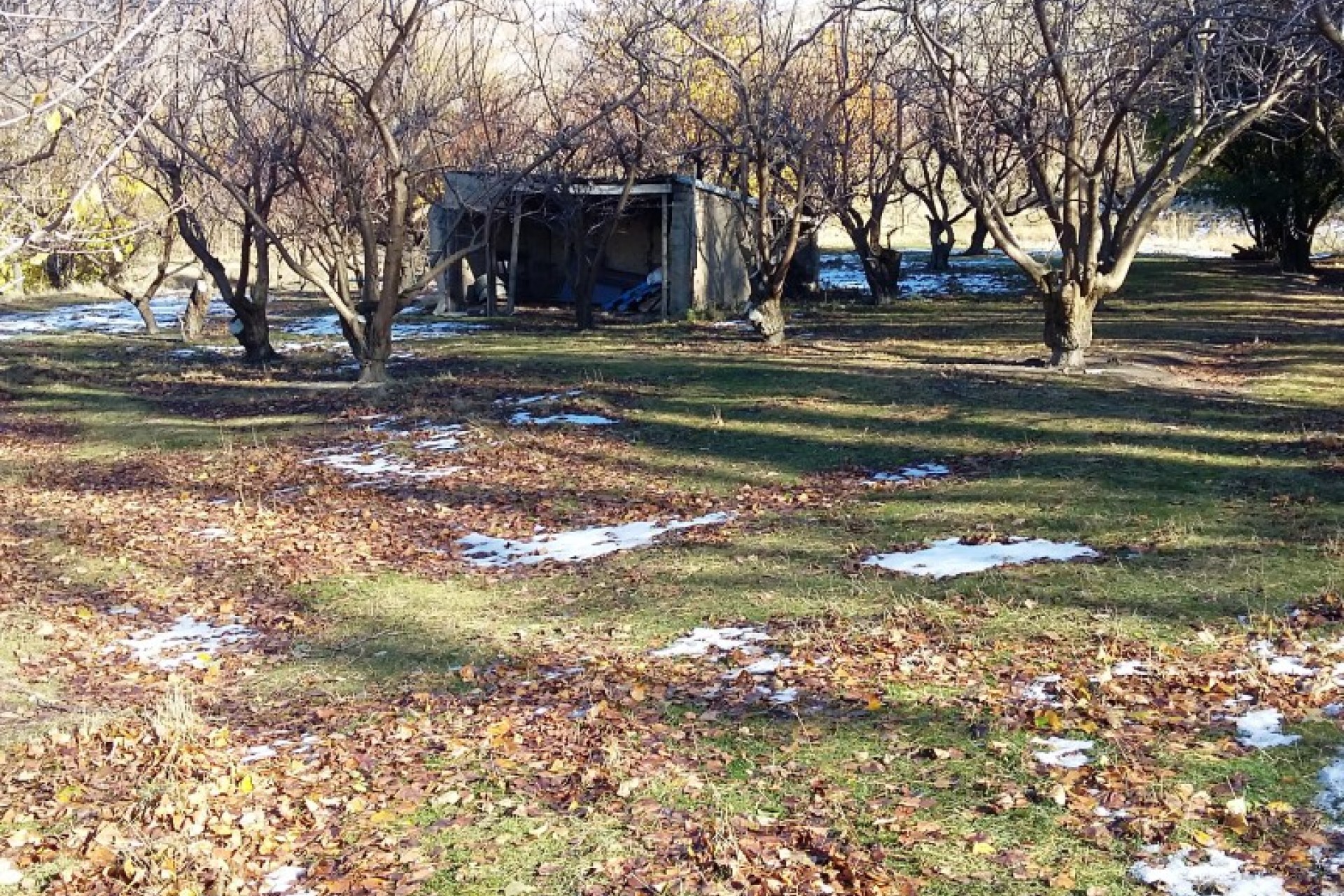 Bannockburn PGG Wrightson Real Estate