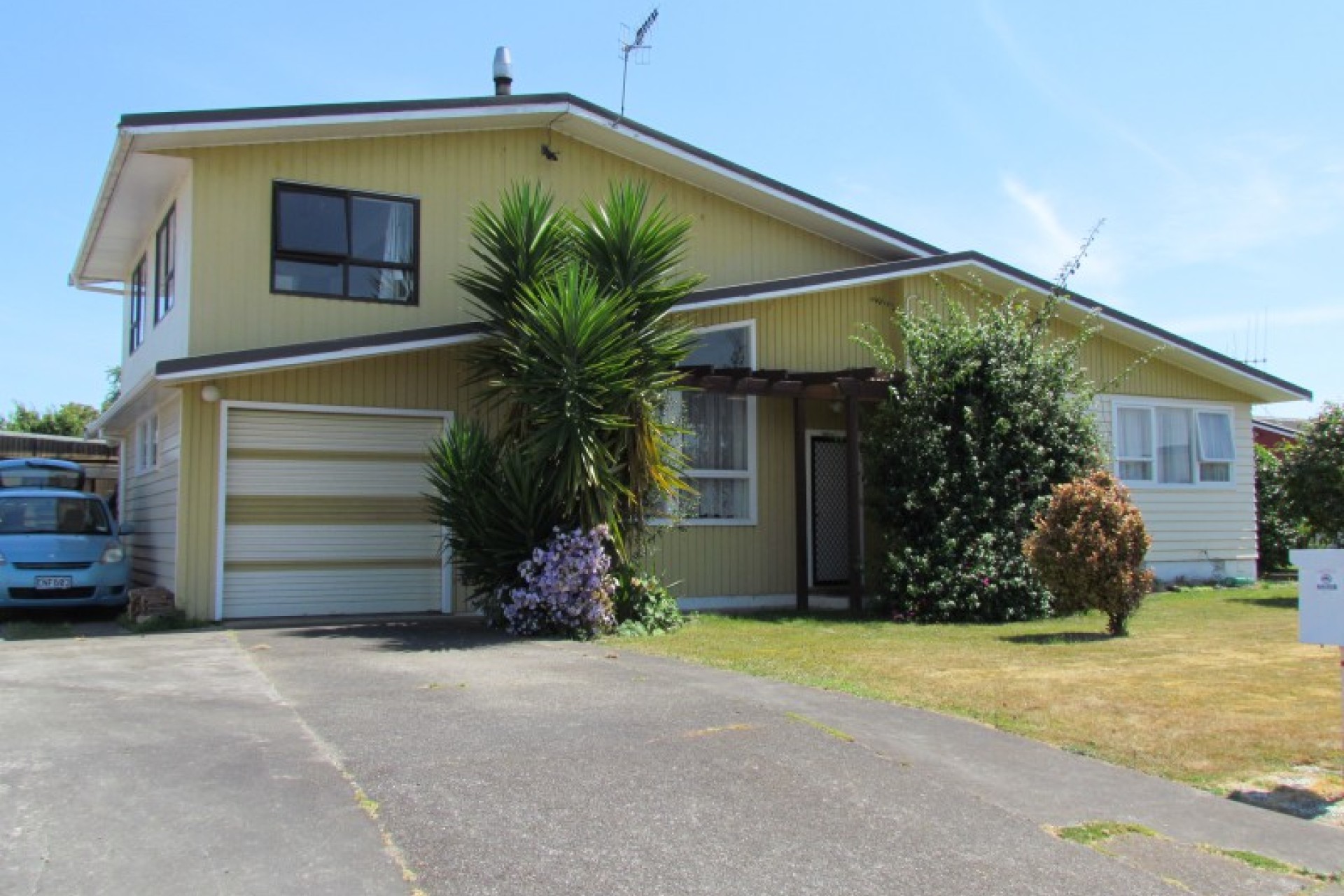 Levin PGG Wrightson Real Estate