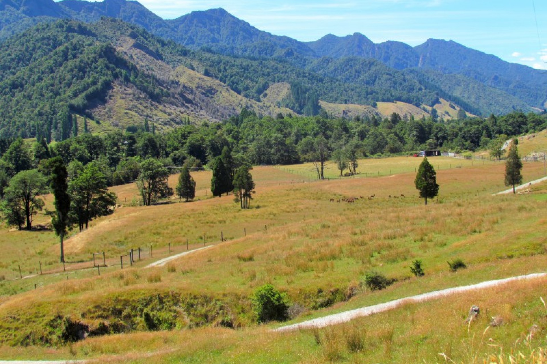 Murchison PGG Wrightson Real Estate