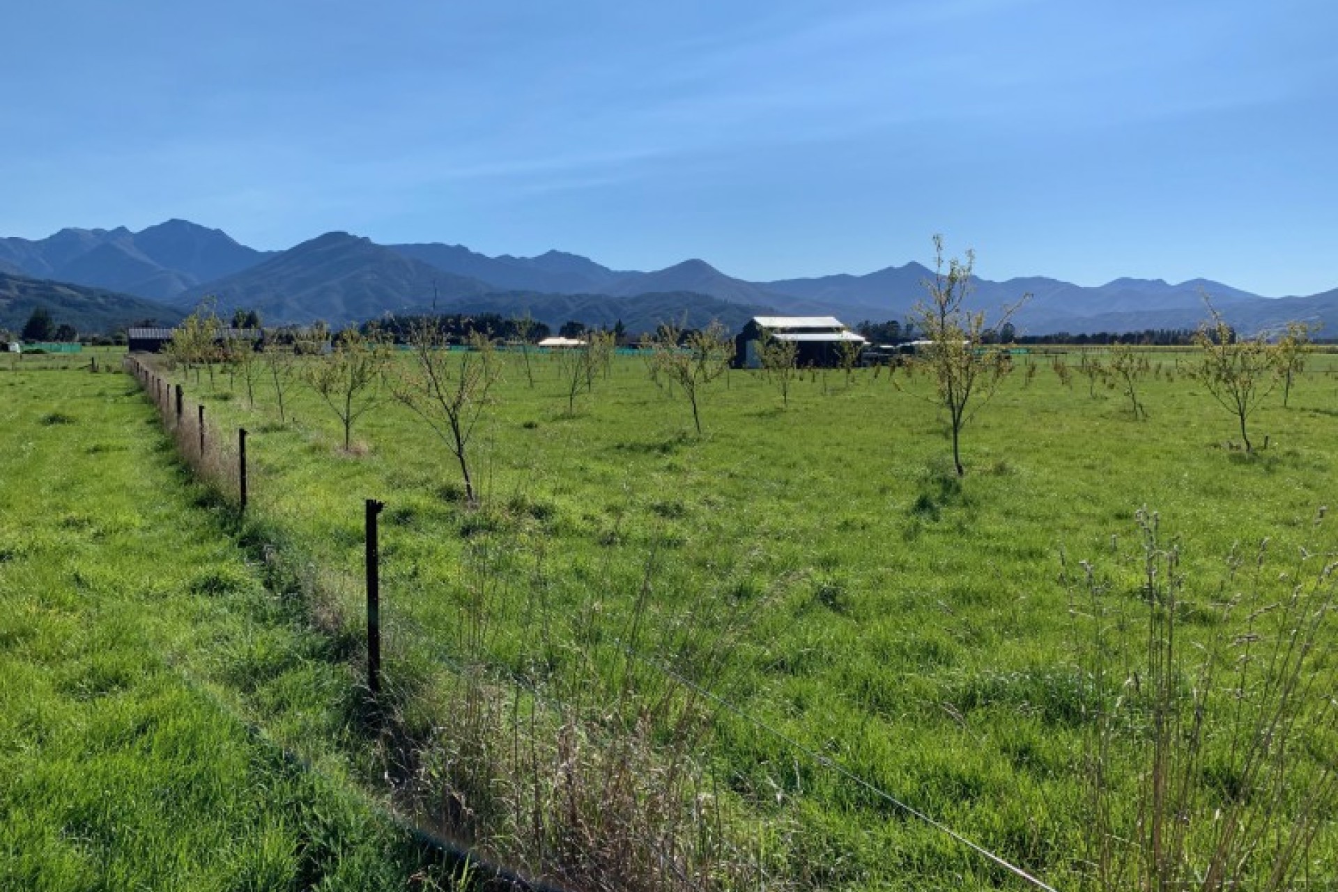 Wairau Valley PGG Wrightson Real Estate