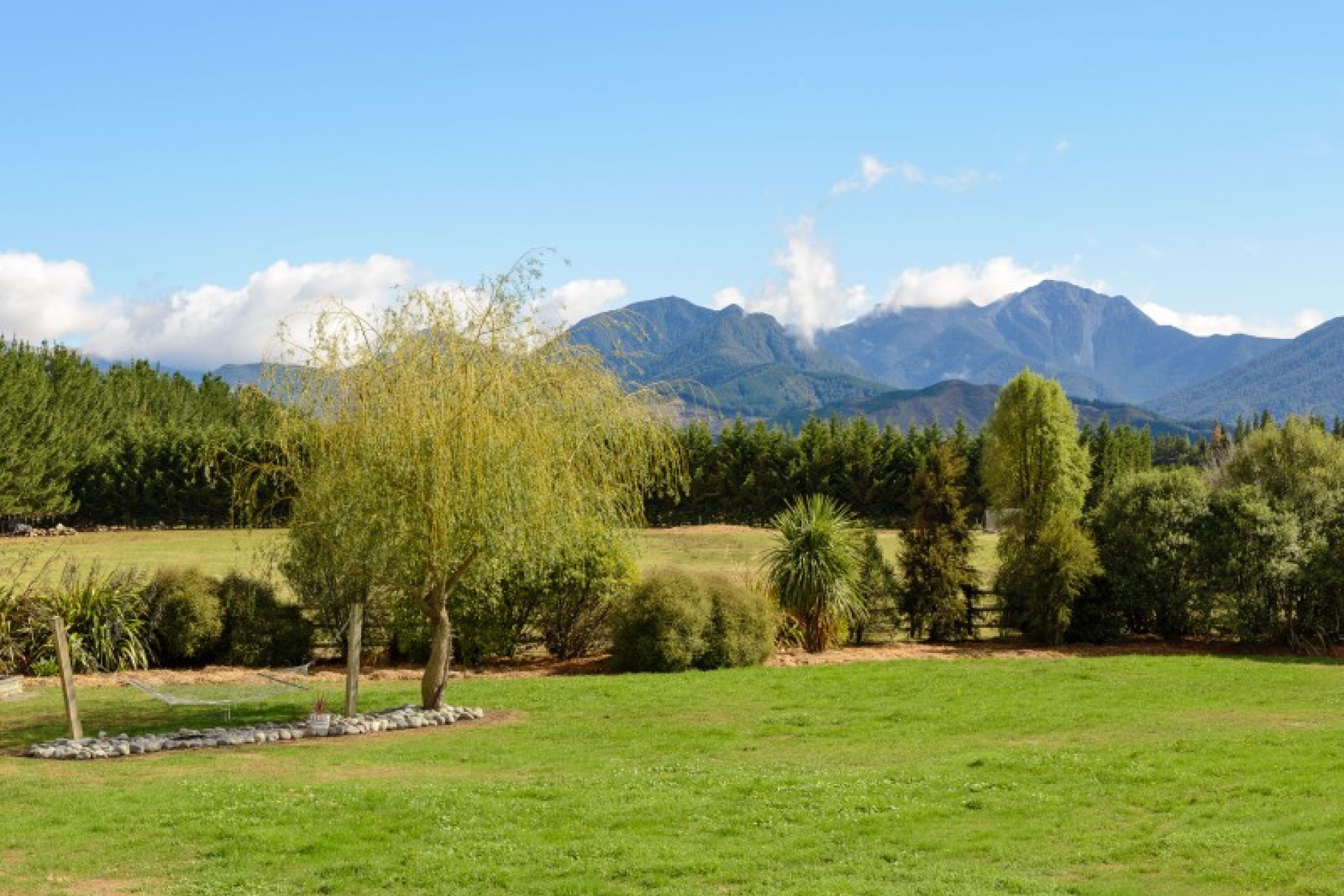 Wairau Valley PGG Wrightson Real Estate