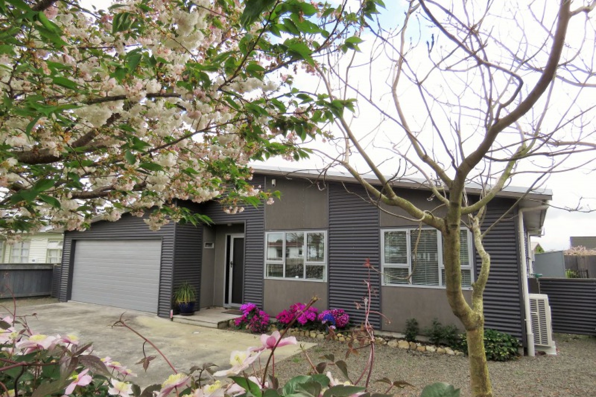 Levin PGG Wrightson Real Estate