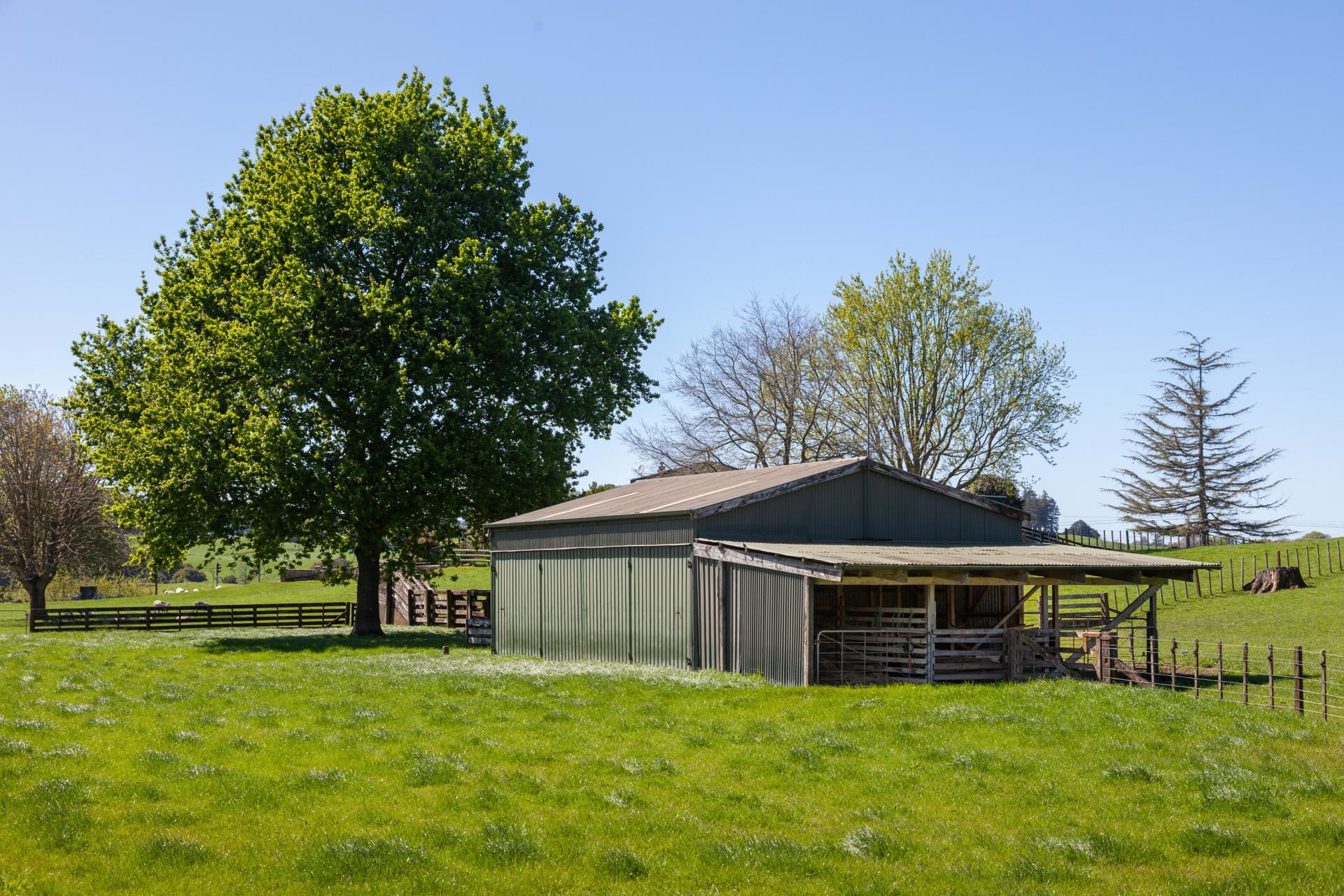 3 MacMillan Road, Tirau