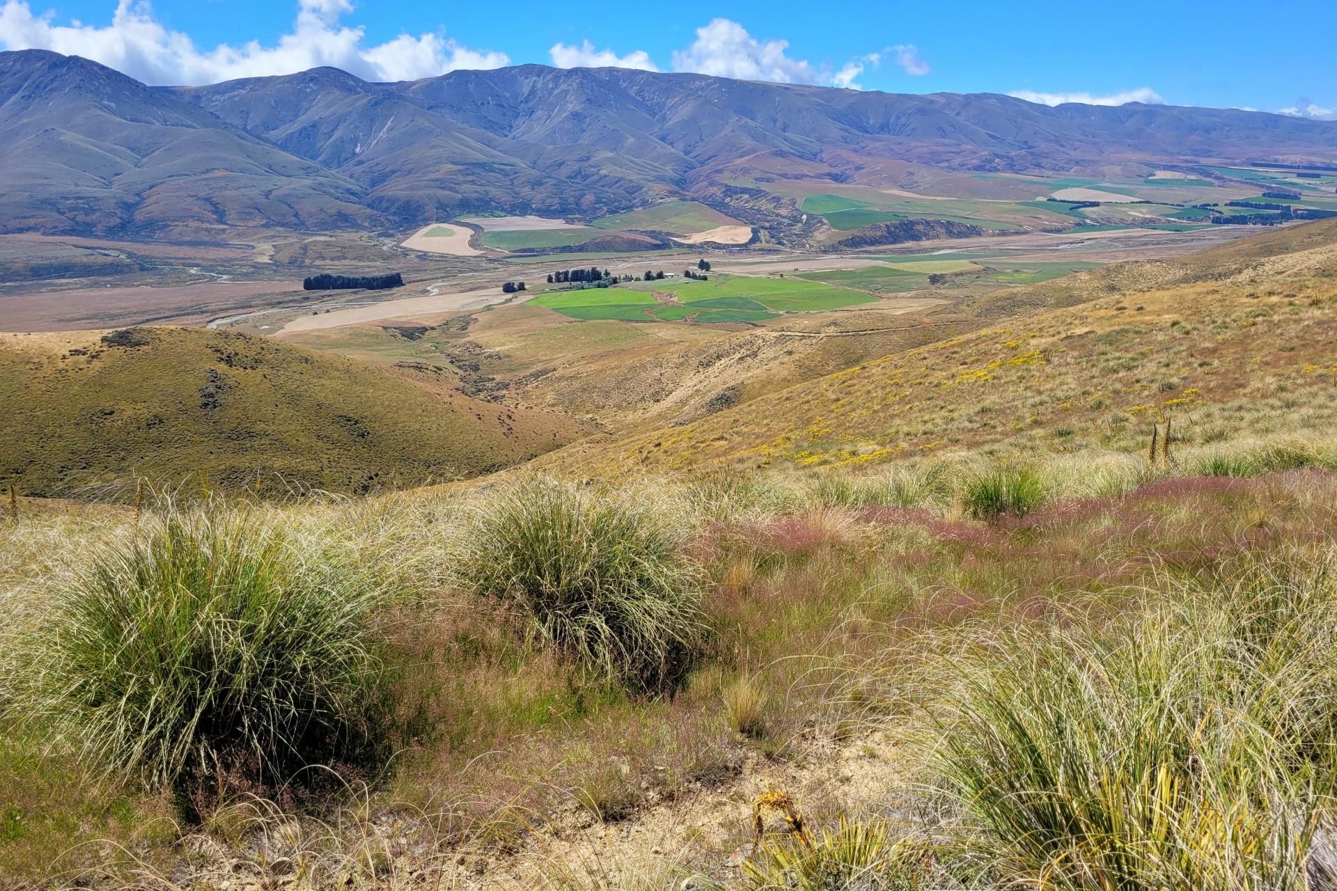 1201 Hakataramea Valley Road, Cattle Creek PGG Wrightson Real Estate