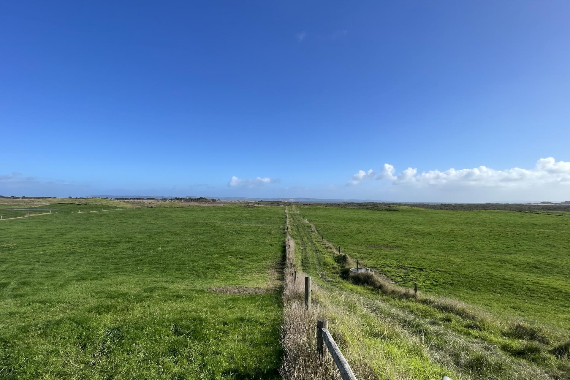 711 Okahukura Road, Tapora PGG Wrightson Real Estate