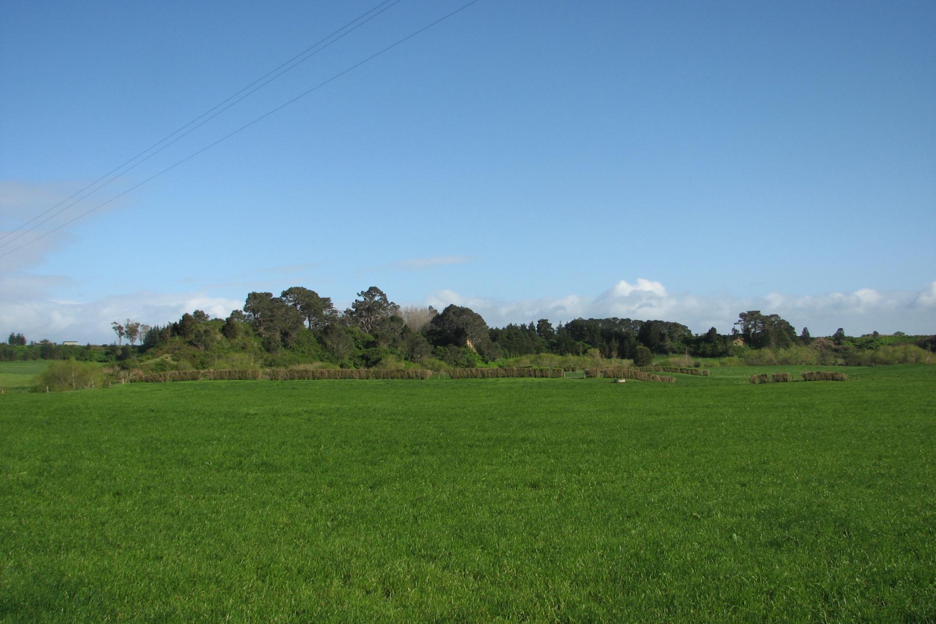 1387 Old Te Aroha Road, Okauia PGG Wrightson Real Estate