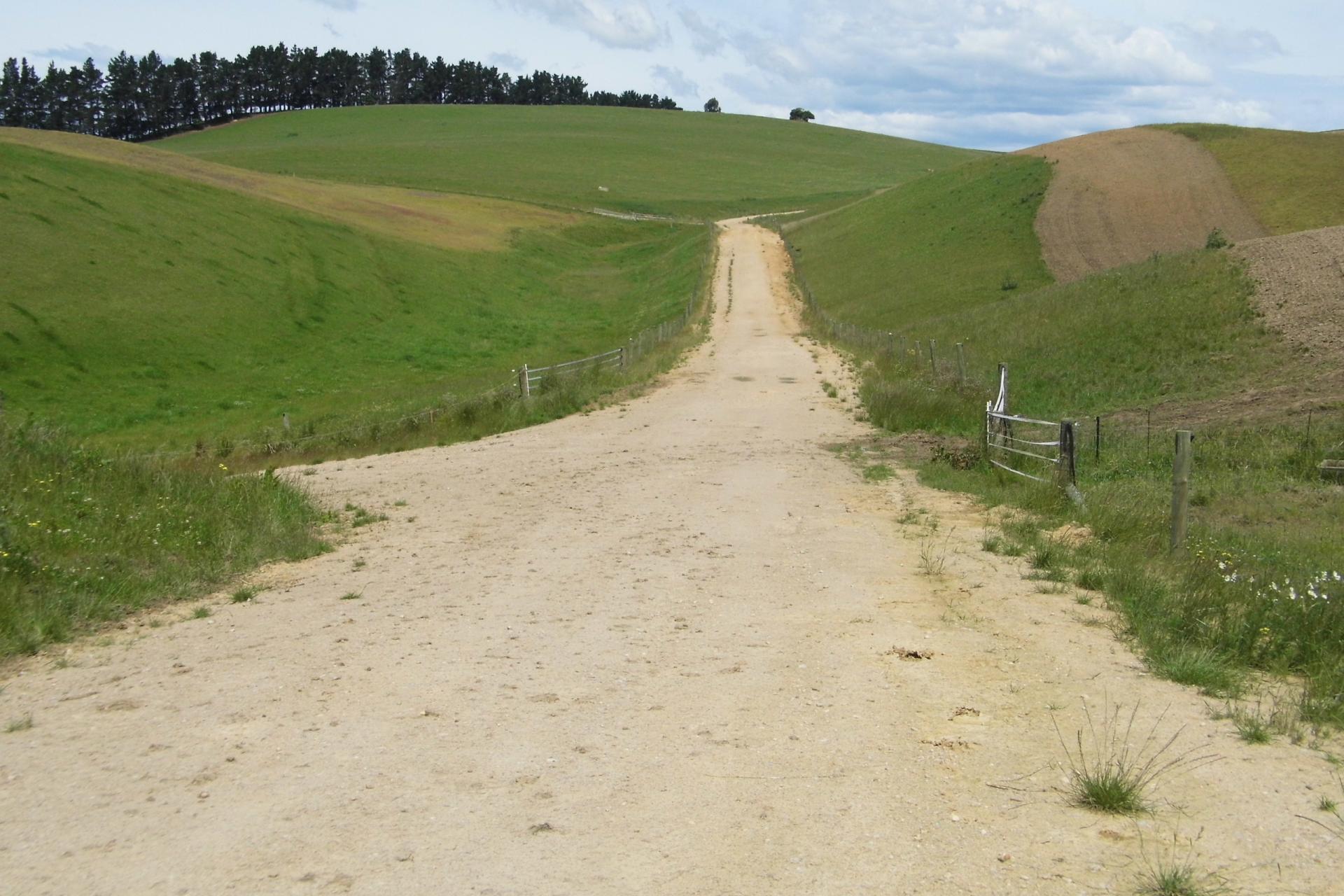 Tokarahi Downs, TokarahiDuntroon Rd, Tokarahi PGG Wrightson Real Estate