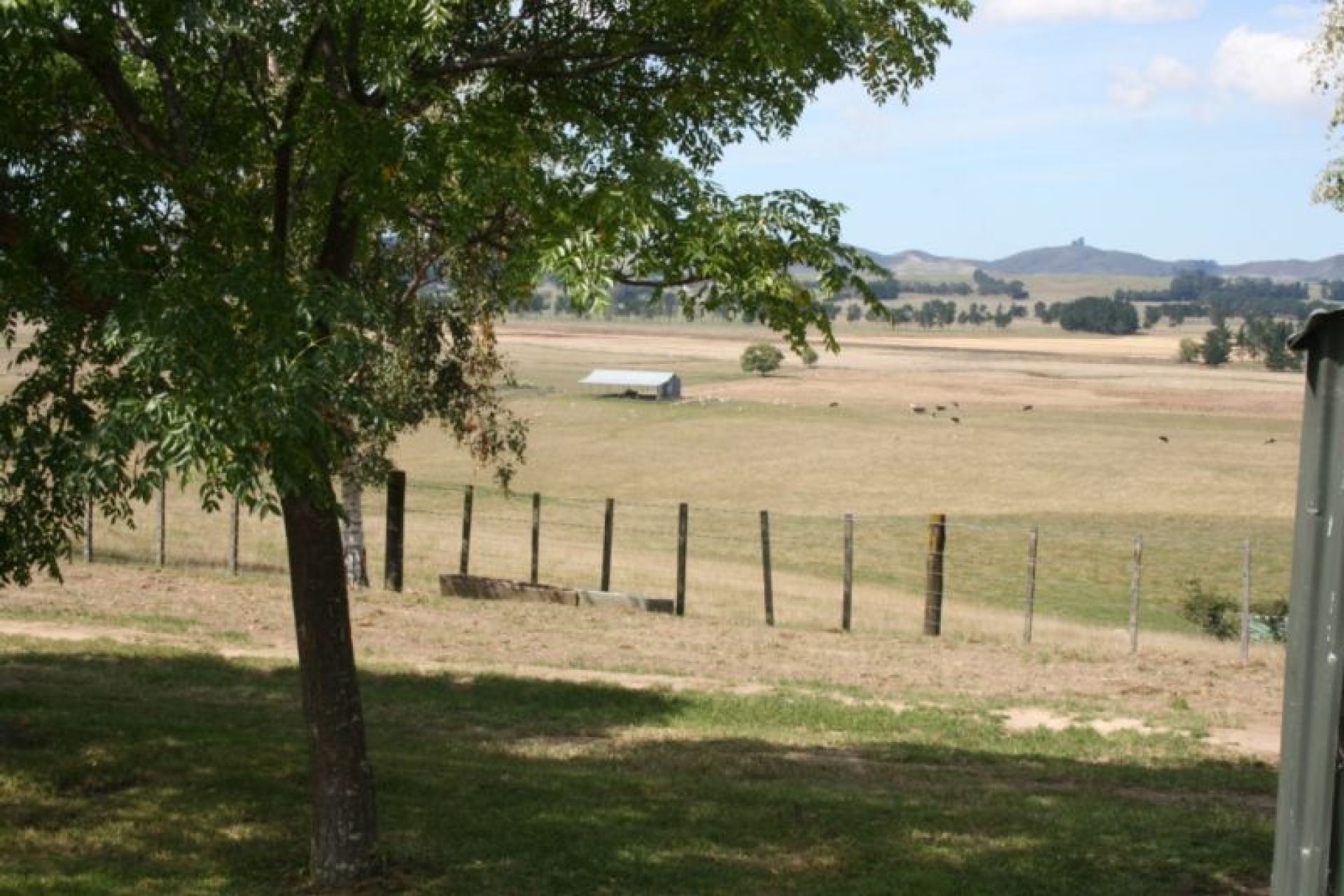 Waipukurau PGG Wrightson Real Estate