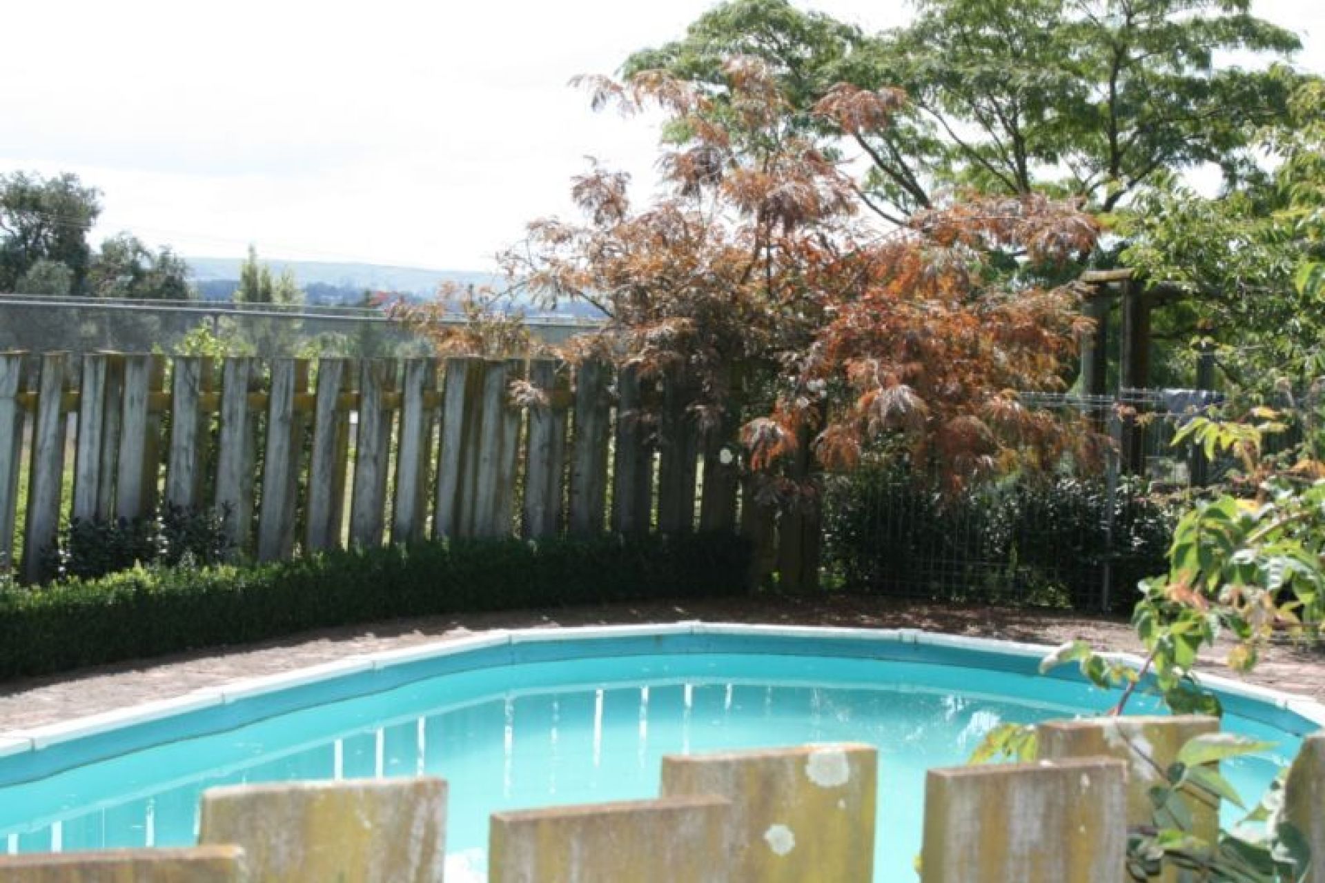 Waipukurau PGG Wrightson Real Estate